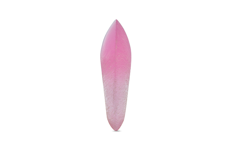 Photo 20662732