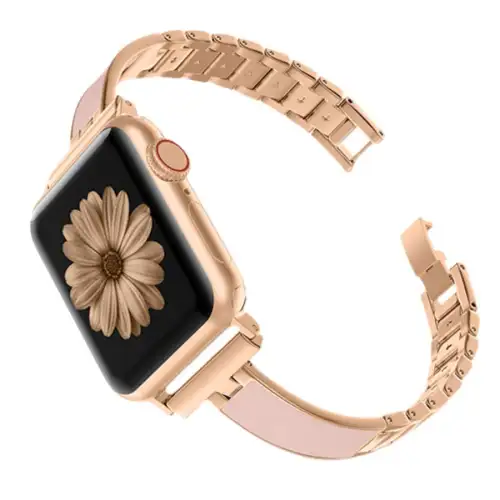 Zhongwo Strap Apple Compatibility Stainless Steel Material