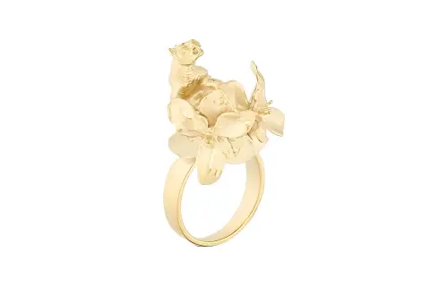 DIOR Rings Women's
