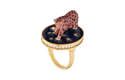 DIOR Rings Unisex