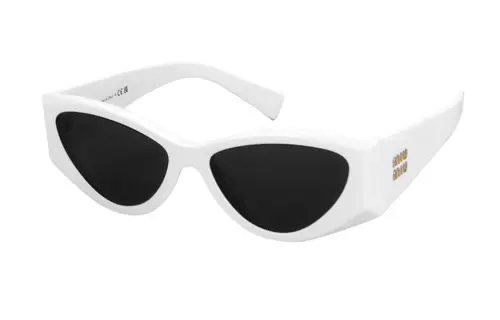 【Previous Season】cat-eye frame tinted sunglasses