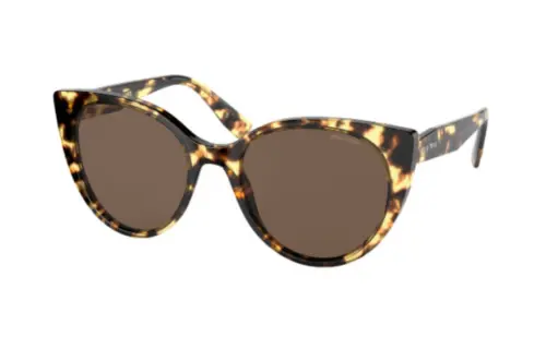 MIU MIU Acetate Round Sunglasses Women's Tortoiseshell