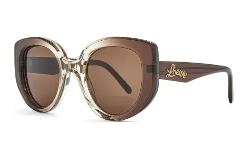 LOEWE Acetate Butterfly Sunglasses Unisex Brown