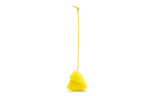 LOEWE Accessories Women's Yellow