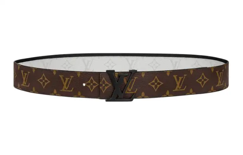 LOUIS VUITTON Canvas, Recycled Metal Belts Men's Brown Width 4cm