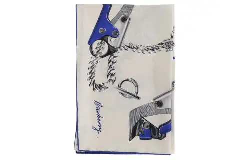 Burberry Silk Scarves Women's Blue