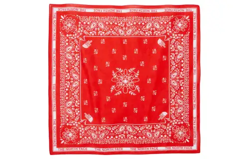 THE NORTH FACE Knit Scarves Unisex Red