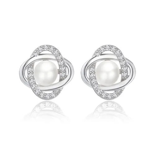 ZHIYU S925 Silver Stud Earrings Women's