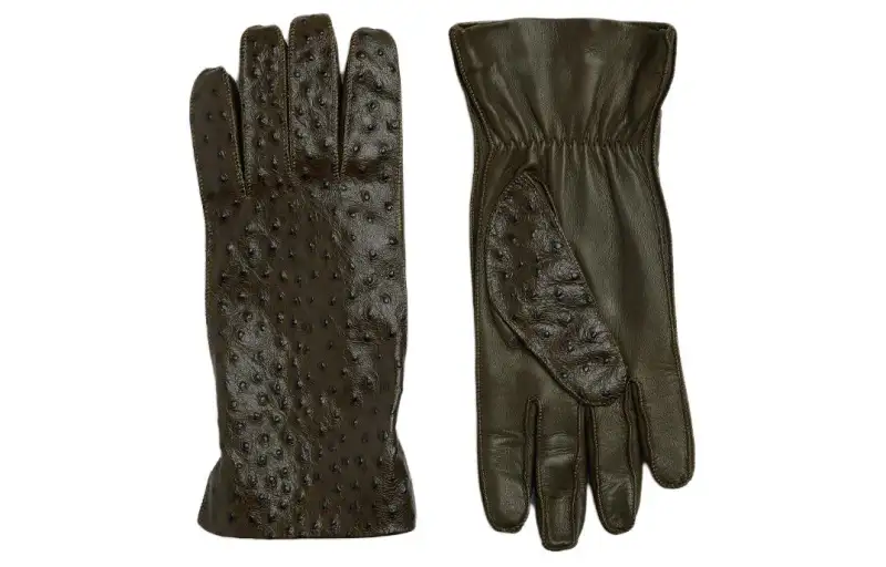 Bottega Veneta Gloves Men's Seaweed