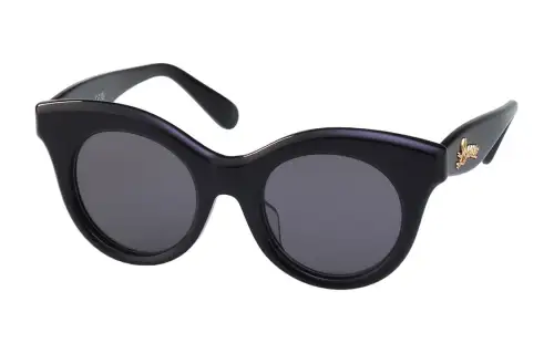 LOEWE Oval Sunglasses Unisex Black