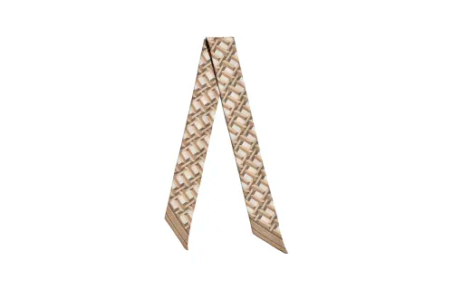 TIFFANY & CO. Silk Scarves Women's Brown