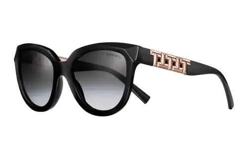 TIFFANY & CO. Cat Eye Sunglasses Women's Black