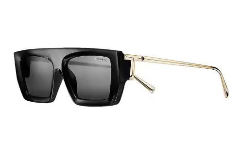TIFFANY & CO. Acetate Metal Rectangular Sunglasses Women's Black