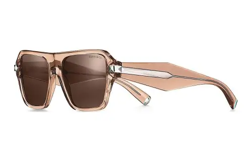 TIFFANY & CO. Acetate Rectangular Sunglasses Women's Brown