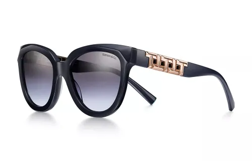 TIFFANY & CO. Acetate Metal Butterfly Sunglasses Women's Dark Blue