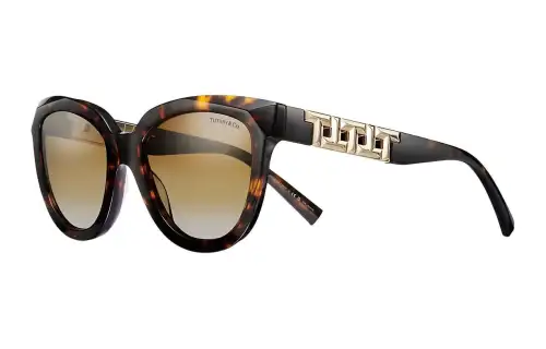 TIFFANY & CO. Cat Eye Sunglasses Women's Tortoiseshell
