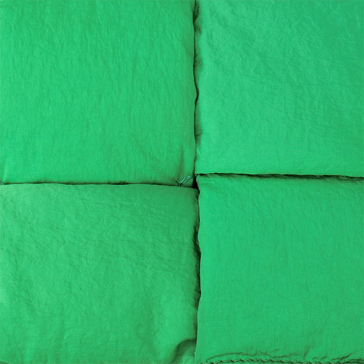 Photo 21317661