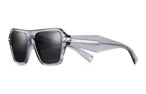 TIFFANY & CO. Acetate Rectangular Sunglasses Women's Gray