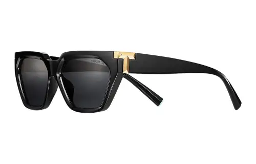 TIFFANY & CO. Plate And Metal Cat Eye Sunglasses Women's Black