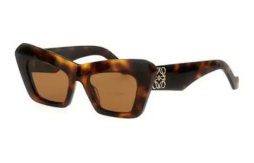 LOEWE Acetate Sunglasses