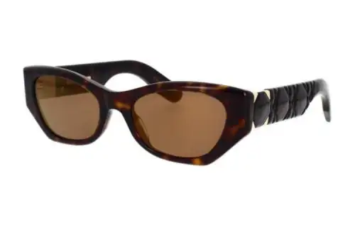 DIOR Eyewear Cat Eye Frame Sunglasses