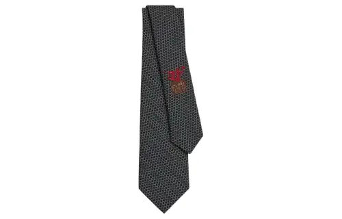 HERMES Ties Men's