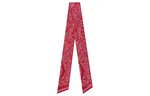 CARTIER Patterned Print Silk Scarves Women's Red