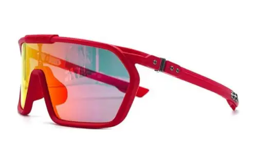 Chrome Hearts Nylon Acetate Irregular Shape Sunglasses Men's Red