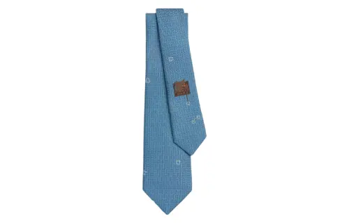 HERMES Pluie Equestre Ties Unisex