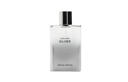 ZARA Men's Silver