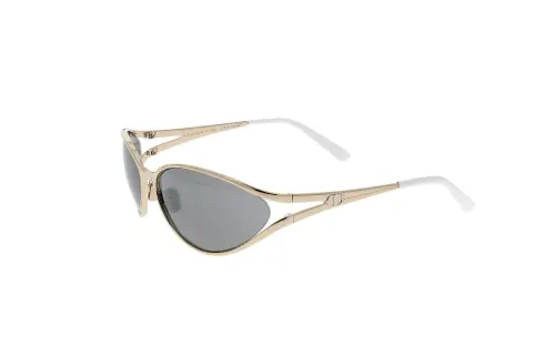 Dior Irregular Frame Sunglasses