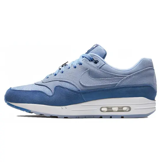 Nike Air Max 1 Have A Nike Day Indigo Storm