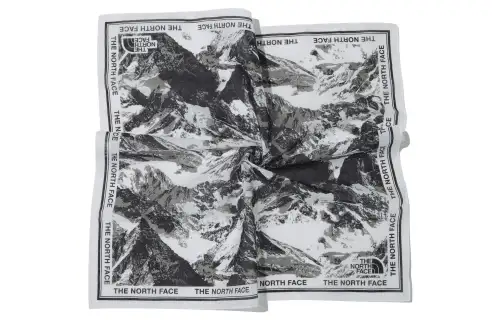 THE NORTH FACE Mountain Graphic Bandana Gray