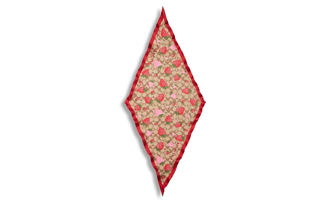 COACH Headwraps Women's Red