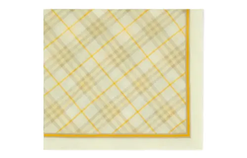 Burberry Checked Striped Border Scarf