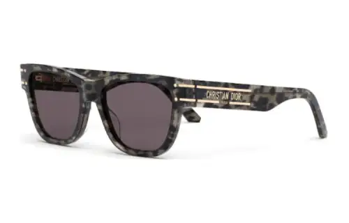 DIOR Sunglasses DIORsignature S6U