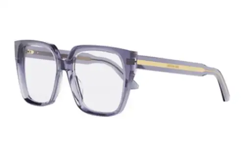 Dior Butterfly Frame Glasses