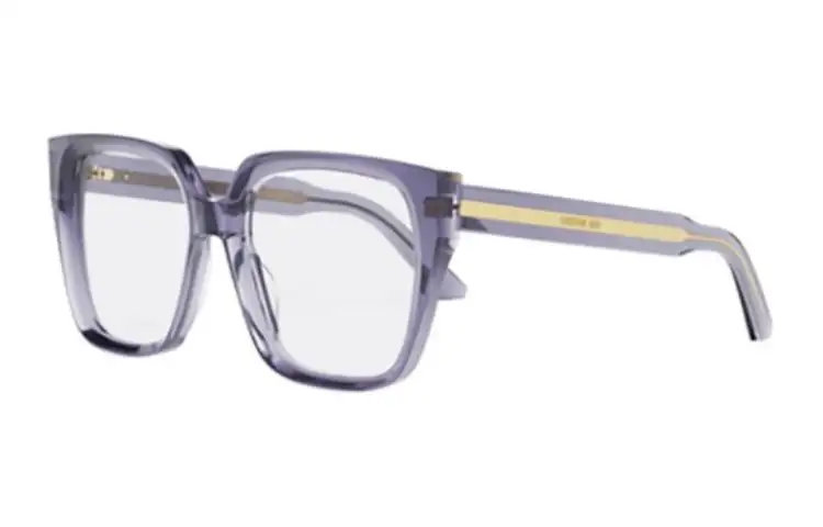 Dior Butterfly Frame Glasses