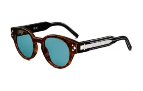 DIOR Irregular Shape Sunglasses Men's Tortoiseshell