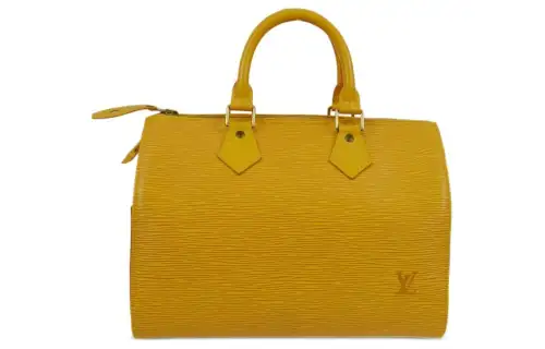 LOUIS VUITTON Pre-Owned 1996 Speedy 25 Handbag