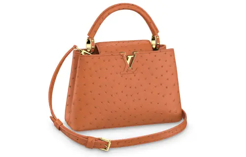 LOUIS VUITTON Capucines Ostrich Leather Capson Handbag Small Women's Cognac Brandy