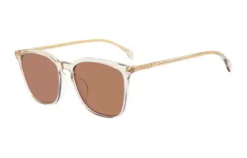 GUCCI Butterfly Sunglasses Men's Transparent