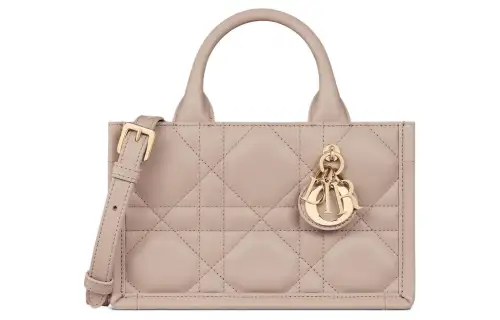 DIOR BookTote Handbags