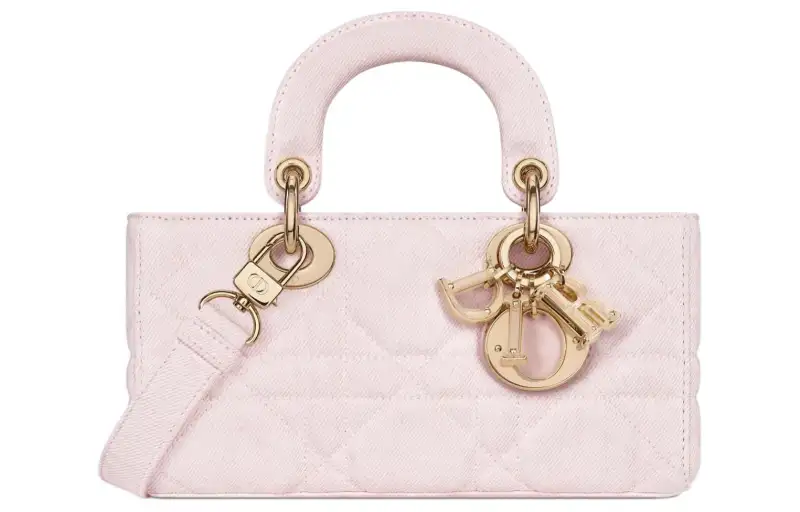 DIOR Lady D Joy Handbags