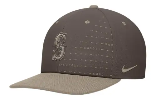 Nike Polyester Baseball Caps Men's Brown