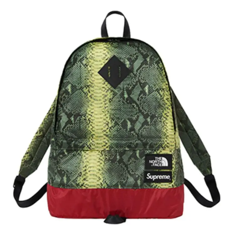 Supreme The North Face X The North Face Collaboration Supreme SS18 Fabric Travel Bag Backpack Regular Unisex Green