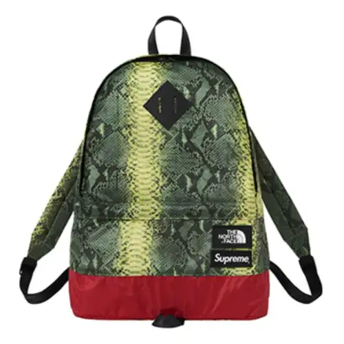 Supreme The North Face X The North Face Collaboration Supreme SS18 Fabric Travel Bag Backpack Unisex Green