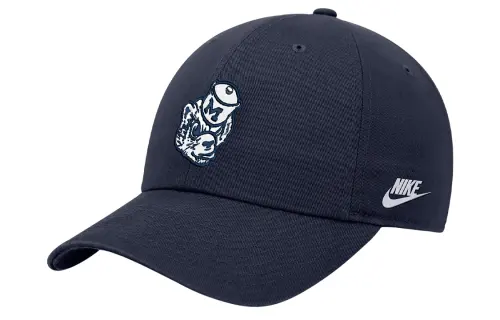 Nike Michigan Nike College Cap