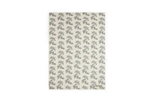 LOEWE Cashmere Shawls Unisex Beige