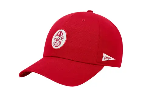 Nike Georgia Logo Nike College Adjustable Cap